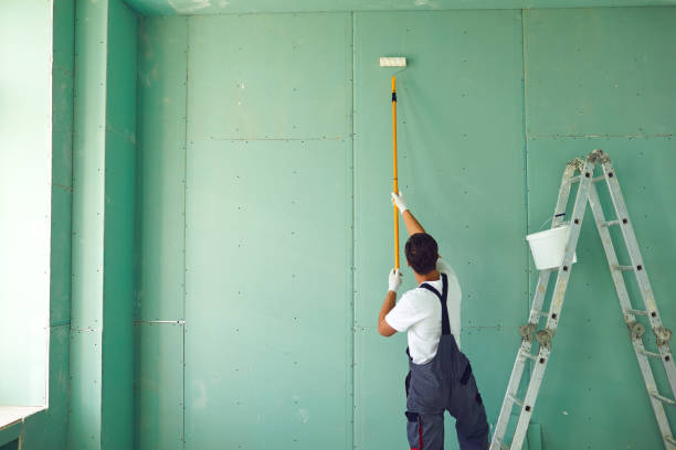 Best Post-Construction Mold Inspection  in Casa Blanca, AZ